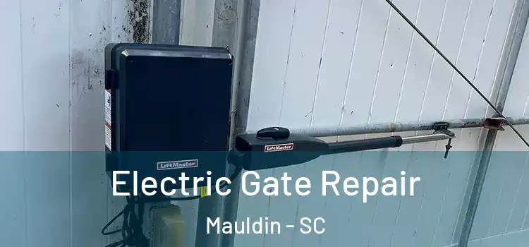 Electric Gate Repair Mauldin - SC