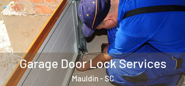 Garage Door Lock Services Mauldin - SC