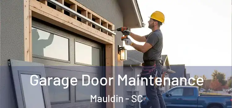 Garage Door Maintenance Mauldin - SC